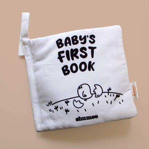 Soft Sensory Cloth Book - toy truth