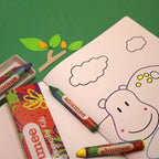 Colouring Book & Organic Crayon Kit - toy truth
