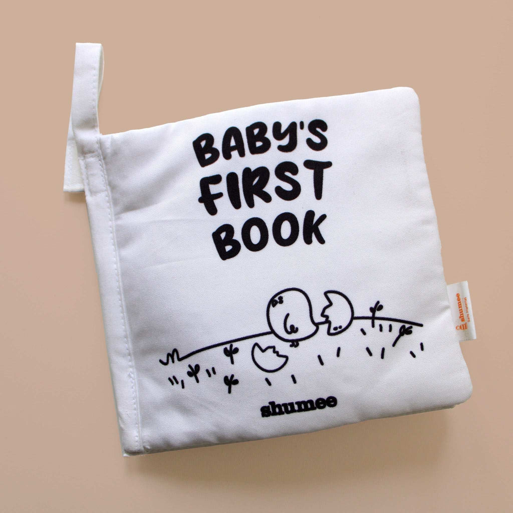 Soft Sensory Cloth Book - toy truth