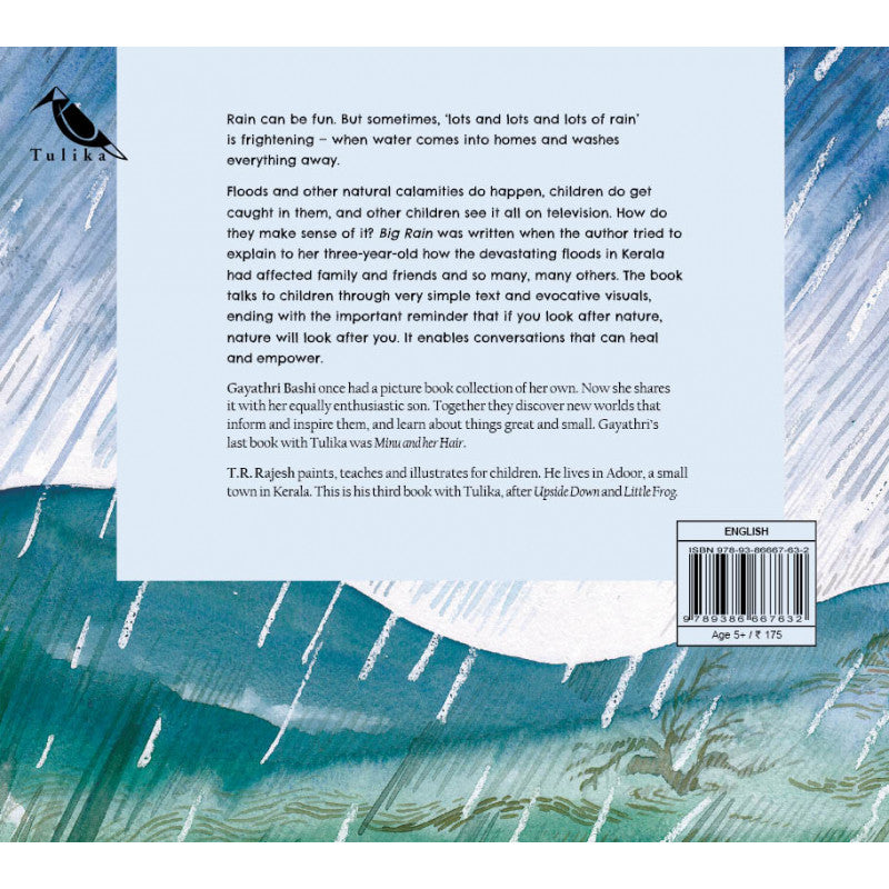 Big Rain (English) Author - toy truth