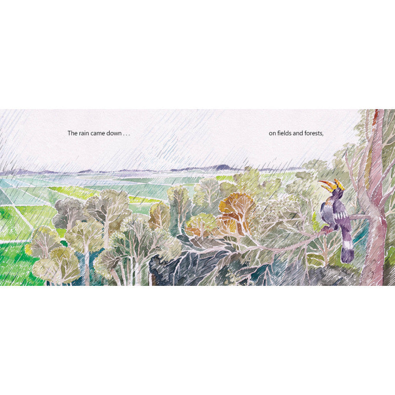 Big Rain (English) Author - toy truth